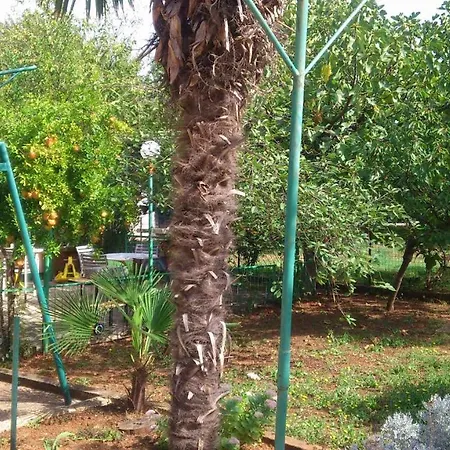 דירה 12 מדולין