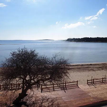 דירה 12 מדולין