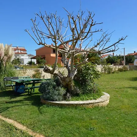 Apartment Medulin 12 *